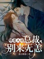嗜妻入命：總裁別來無恙