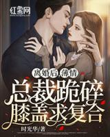 離婚后，薄情總裁跪碎膝蓋求復(fù)合