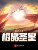 極品圣皇