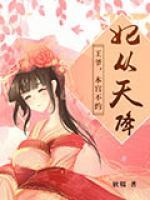 妃從天降：王爺，本宮不約
