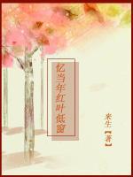 憶當(dāng)年紅葉低窗
