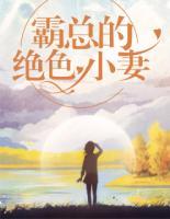 霸總的絕色小妻