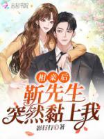 相親后，靳先生突然黏上我