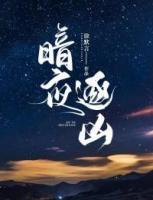 暗夜逐兇