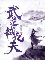 武逆弒九天