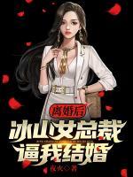離婚后，冰山女總裁逼我結(jié)婚