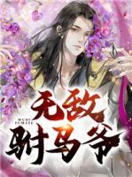 無敵駙馬爺