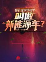 你管這鋼鐵機甲叫做新能源車？