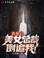 離婚后，美女總裁倒追我！
