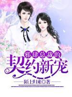 契約寵妻