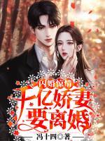 閃婚驚情：千億嬌妻要離婚