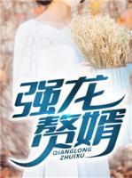 強(qiáng)龍贅婿