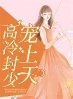 高冷封少寵上天