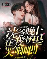 白天高冷沈爺晚上在我懷里哭唧唧