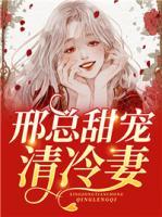 邢總甜寵清冷妻