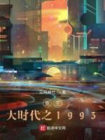 重生1993之黃金年代