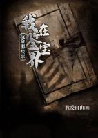 我在鑒寶界玩命那些年