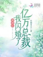 被渣后，我閃婚了億萬總裁