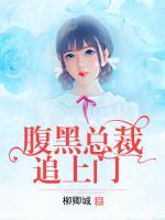 腹黑總裁追上門