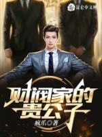 財(cái)閥家的貴公子