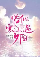 恰似寒江遇夕陽