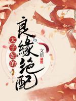 太子妃的良緣絕配