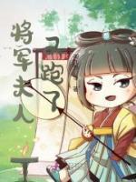 將軍夫人又跑了