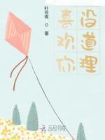 喜歡你，沒道理