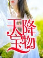 天降寶物