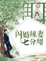 閃婚寵妻七分甜