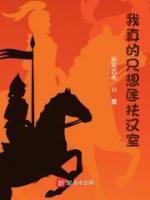 我真的只想匡扶漢室