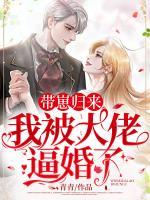 名門寵婚：宋先生想要二胎