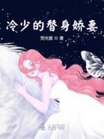 冷少的替身嬌妻