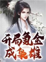 開(kāi)局氪金成梟雄