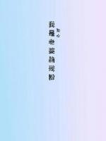 我是老婆腦殘粉
