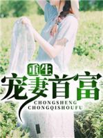 重生寵妻首富