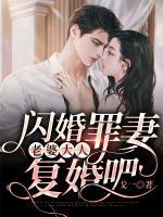 閃婚罪妻：老婆大人，復婚吧