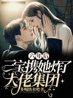 六年后，三寶攜她炸了大佬集團(tuán)