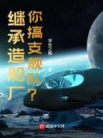 繼承造船廠，你搞支艦隊？