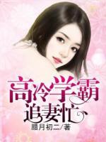 高冷學(xué)霸追妻忙