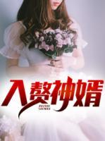 入贅神婿