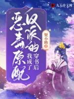 穿書(shū)后，我成了反派的惡毒原配