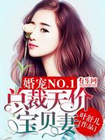婚寵NO.1：總裁天價寶貝妻