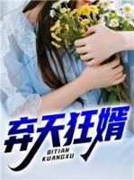 棄天狂婿