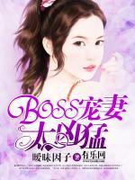 BOSS寵妻太兇猛