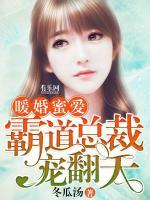 暖婚蜜愛(ài)：霸道總裁寵翻天