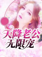 天降老公無限寵