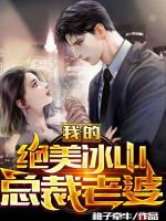 我的絕美冰山總裁老婆