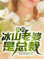我的冰山老婆是總裁