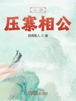 大唐壓寨相公